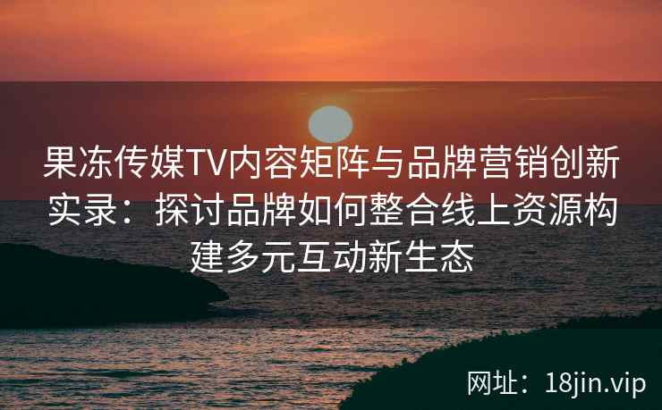 果冻传媒TV内容矩阵与品牌营销创新实录：探讨品牌如何整合线上资源构建多元互动新生态