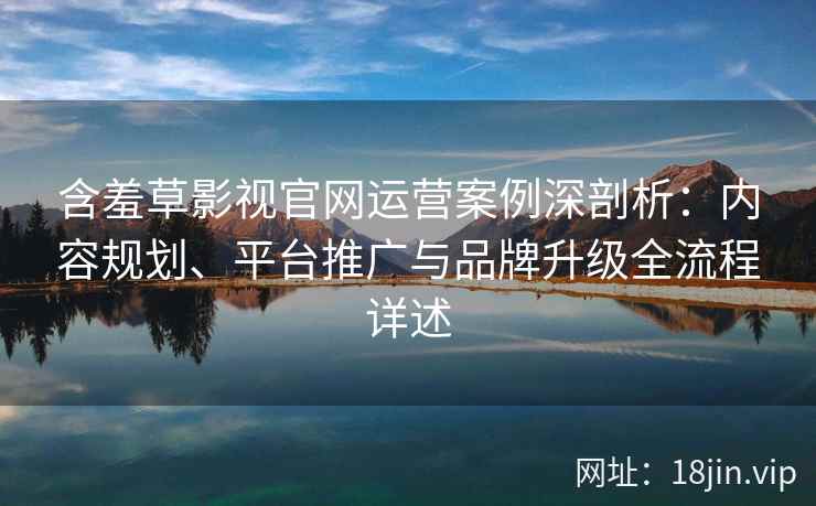 含羞草影视官网运营案例深剖析：内容规划、平台推广与品牌升级全流程详述