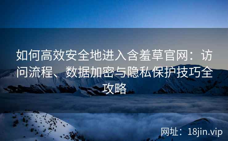 如何高效安全地进入含羞草官网：访问流程、数据加密与隐私保护技巧全攻略